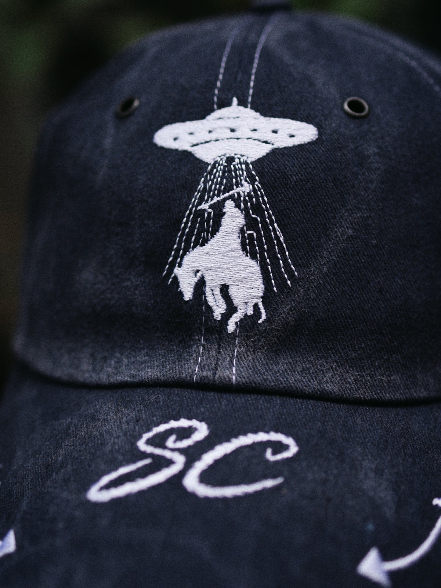 The Sucker cap